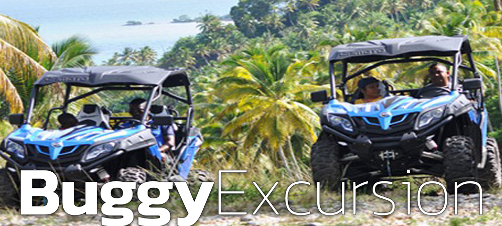Las Terrenas Buggy Excursion to Explore Samana Peninsula in Dominican Republic.