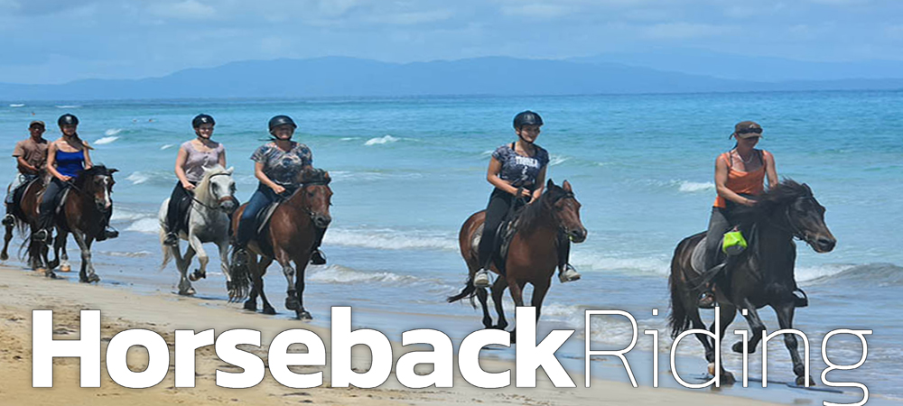 Las Terrenas Horseback Riding Tour to Beach and Nature of Samana Peninsula in Dominican Republic.