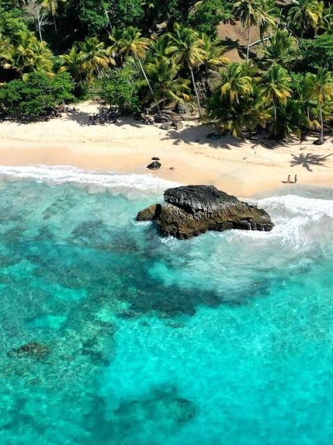 Aerial view of a turquoise cove surrounded by jungle