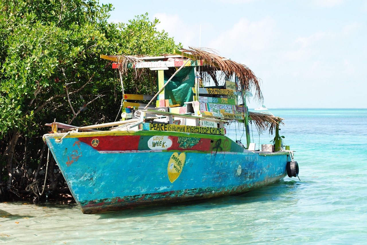 A hand-painted local boat in the mangroves