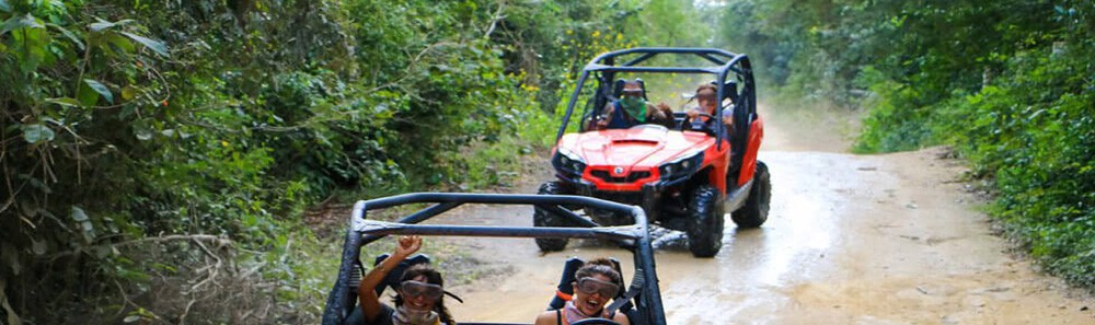 Buggy Adventure