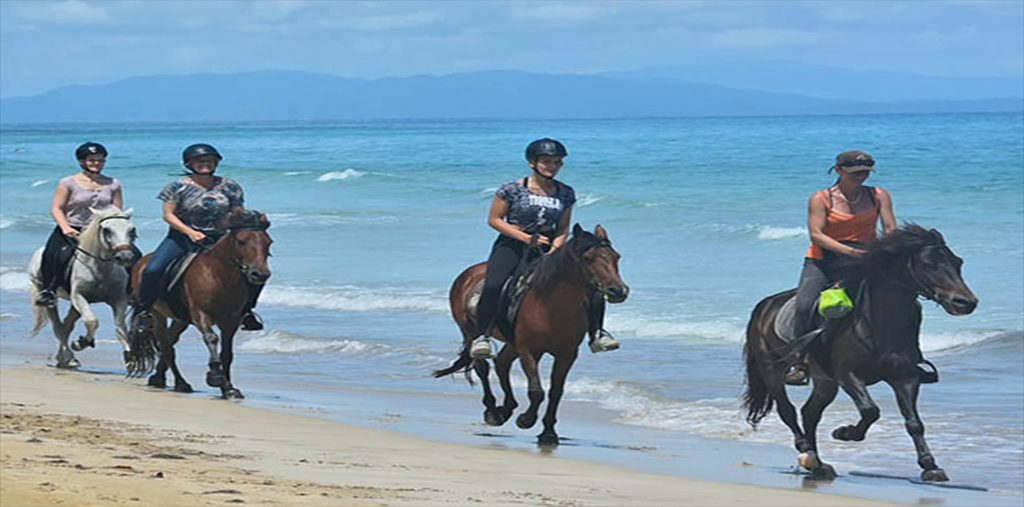 Horseback Riding on the Beach