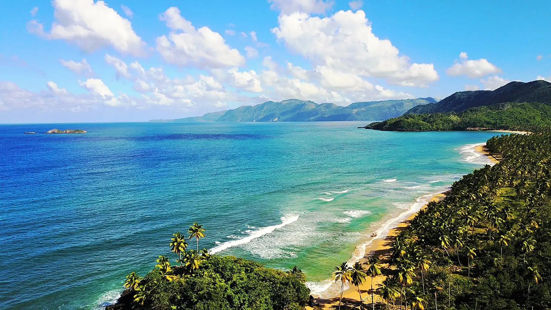 Aerial view of the Samaná coastline: turquoise water, a curving beach and palm forest rising into green hills